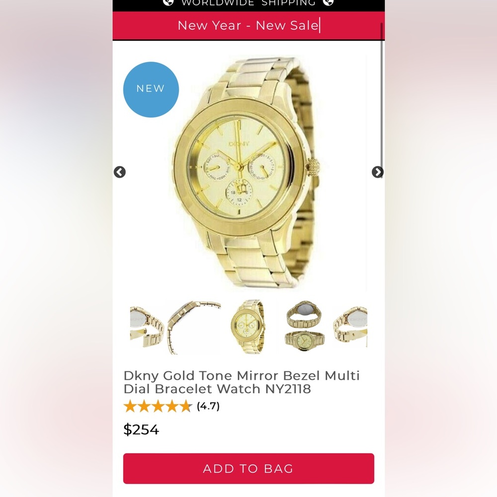 DKNY watch NY2118